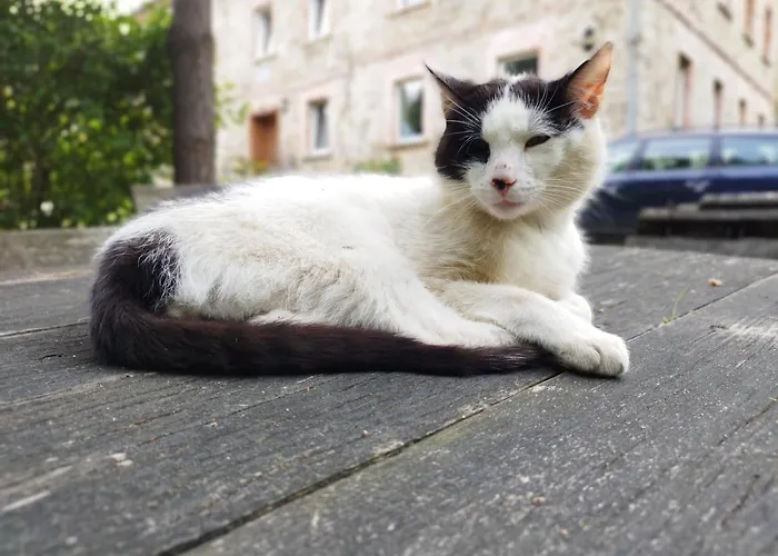 Apartamenty U Golebiewskich
