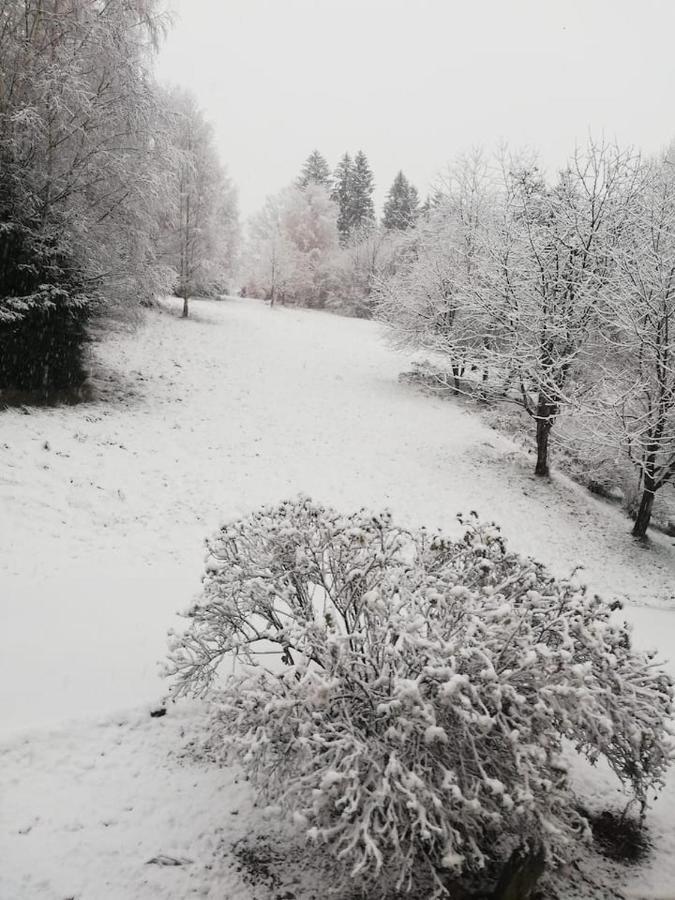U Golebiewskich * Stara Kamienica